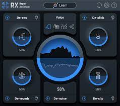 iZotope RX10                                 Elements